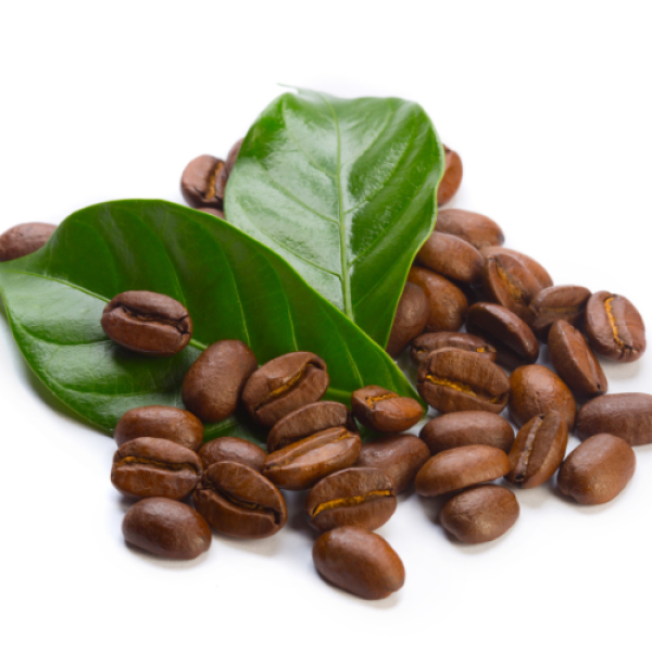 Arabica Coffee Beans