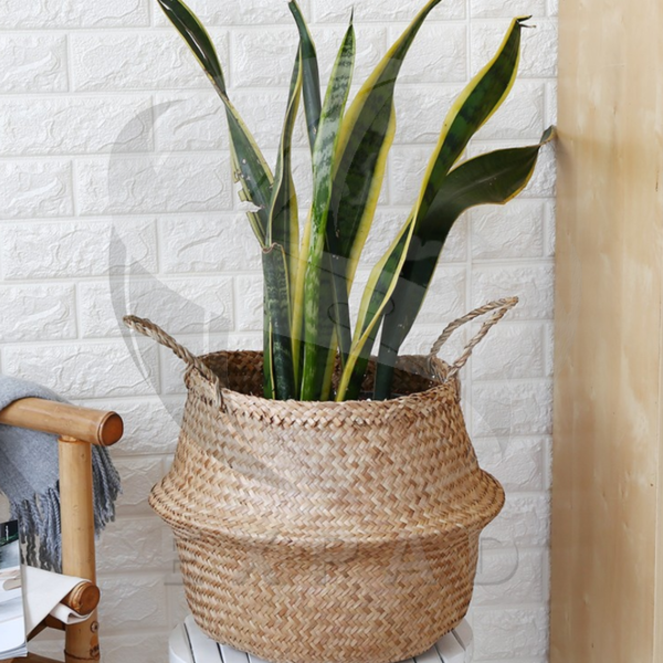 Seagrass Planter Baskets