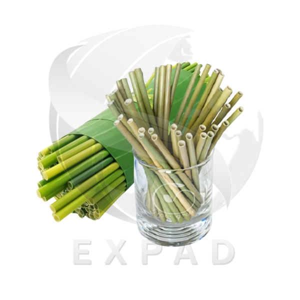 Lepironia Grass Straws