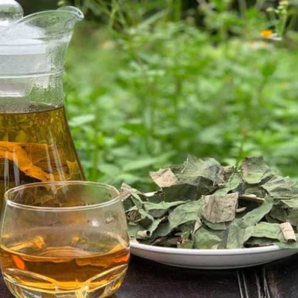 Dried Lotus Leaves For Tea