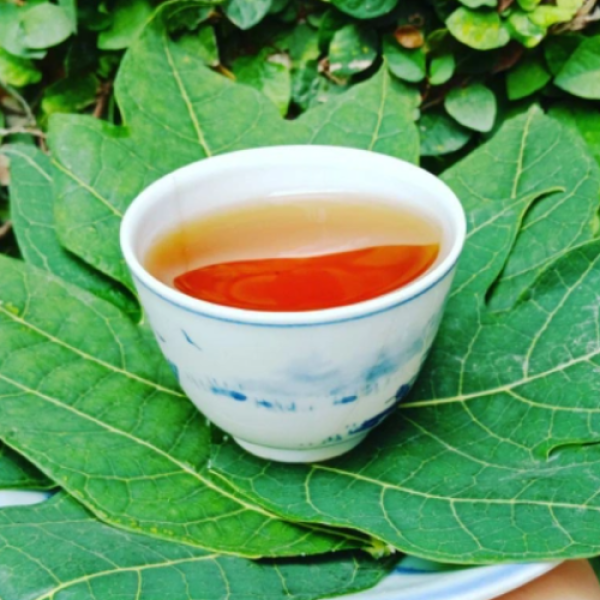 Dried Papaya Leaves For Tea