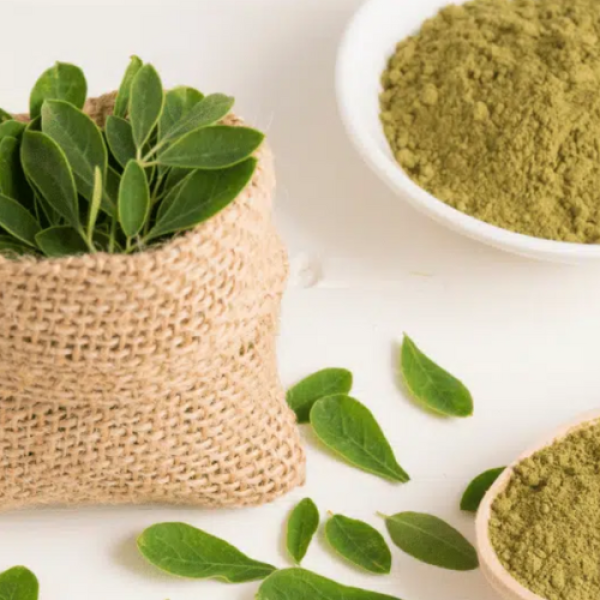 Dried Moringa Powder For Tea