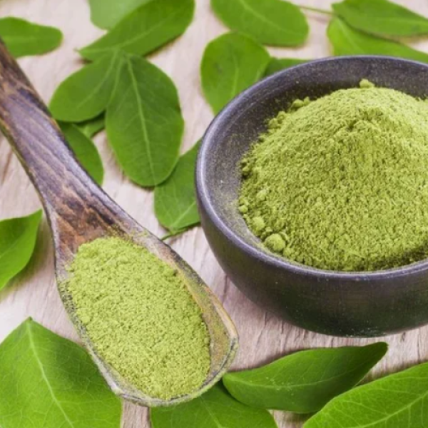 Dried Moringa Powder For Tea