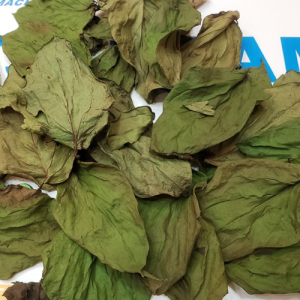 Dried Betel Leaves For Tea