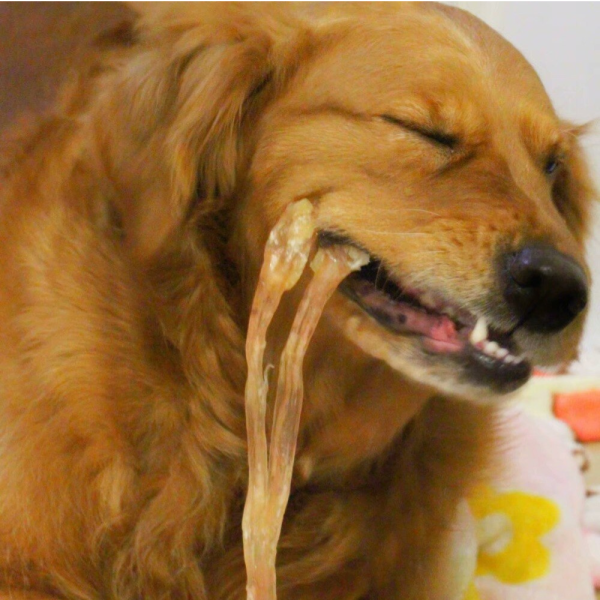 Dried Beef Tendon For Dog