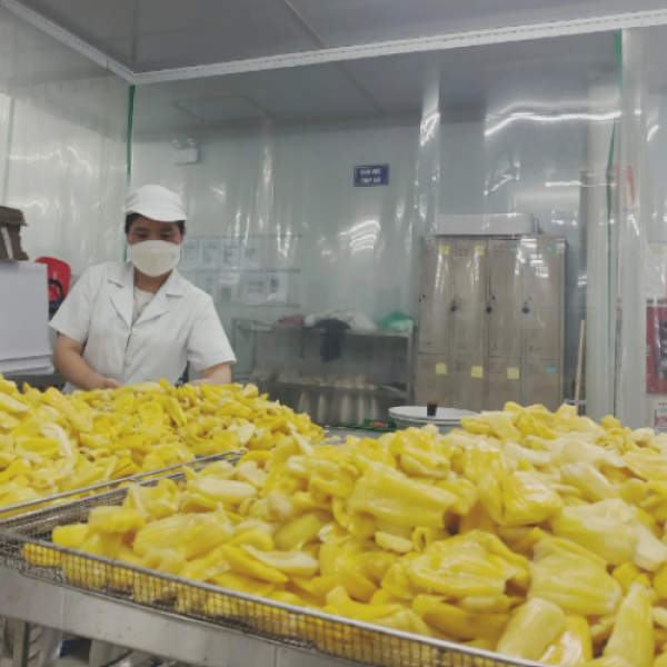 Dried Soft Jackfruits