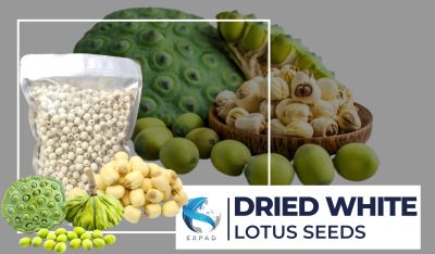 Dried White Lotus Seeds