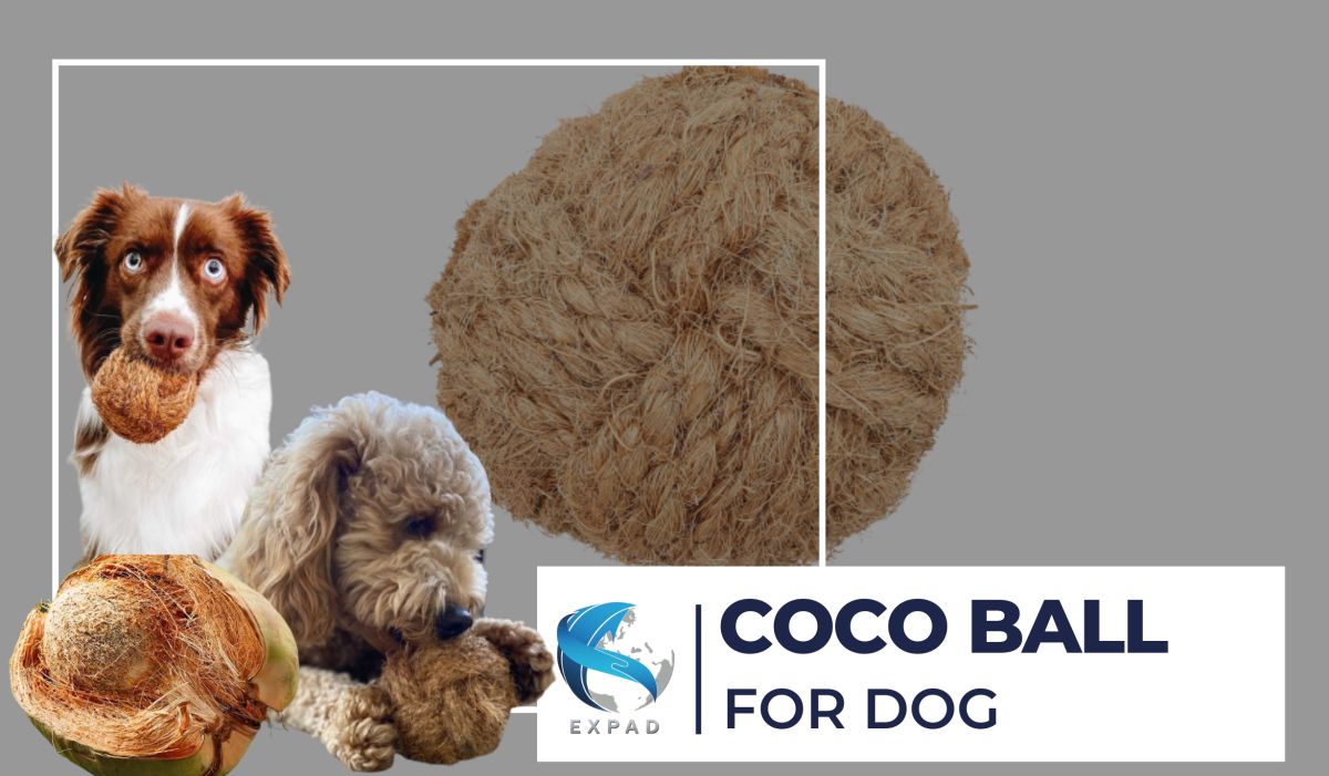 Coco Ball For Dog