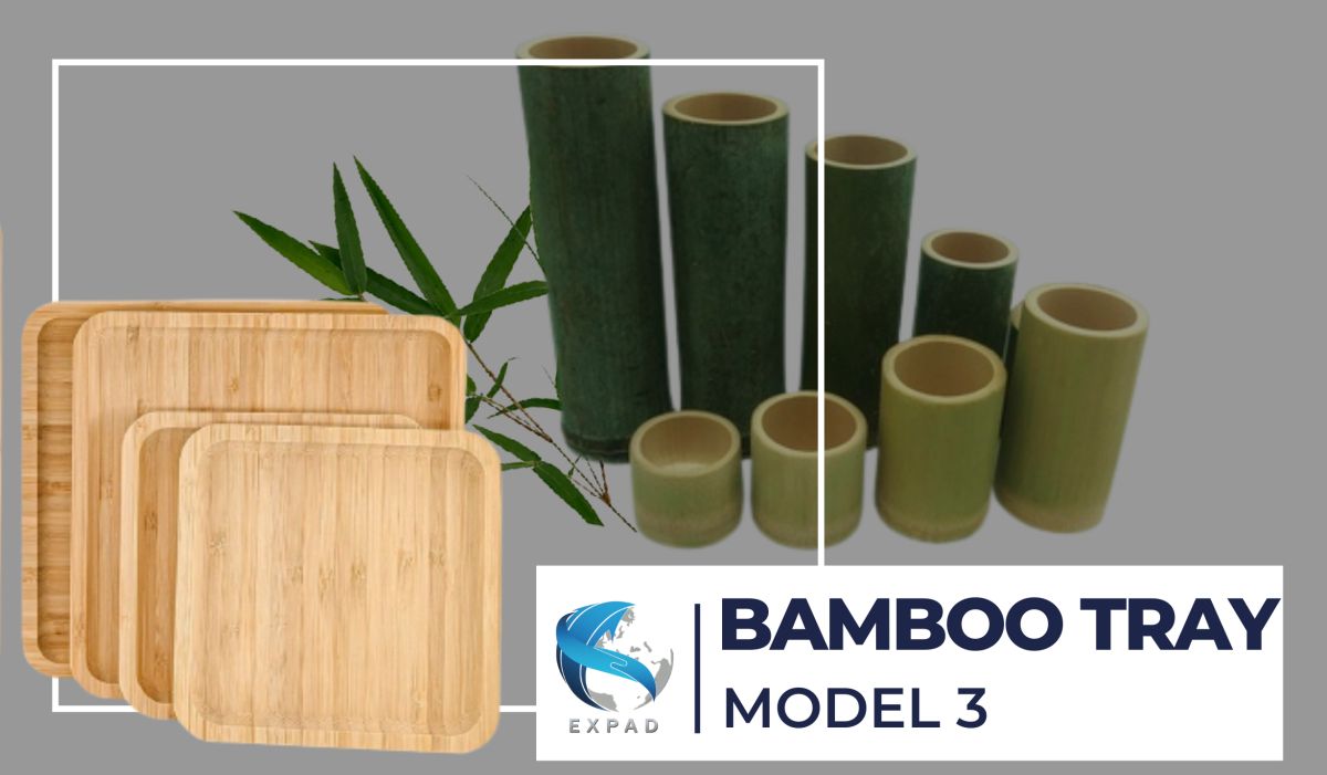 Bamboo Tray Model 3